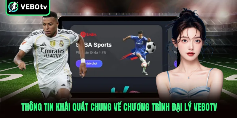 Thông tin khái quát chung về chương trình đại lý VeboTV