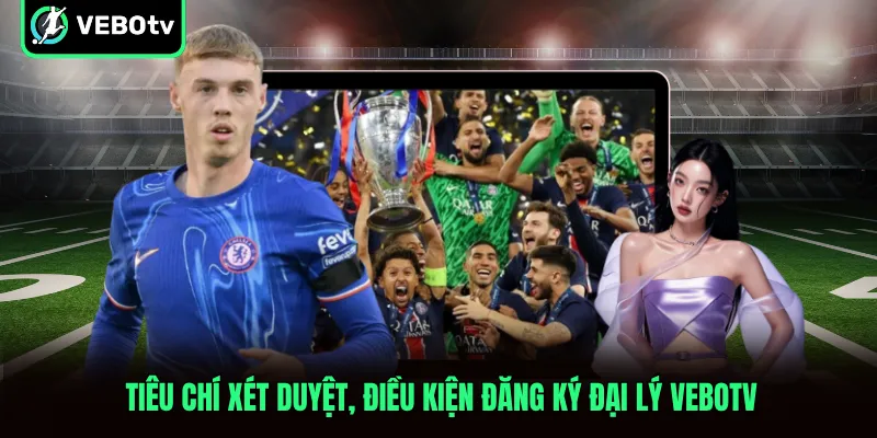 Tiêu chí xét duyệt, điều kiện đăng ký đại lý VeboTV